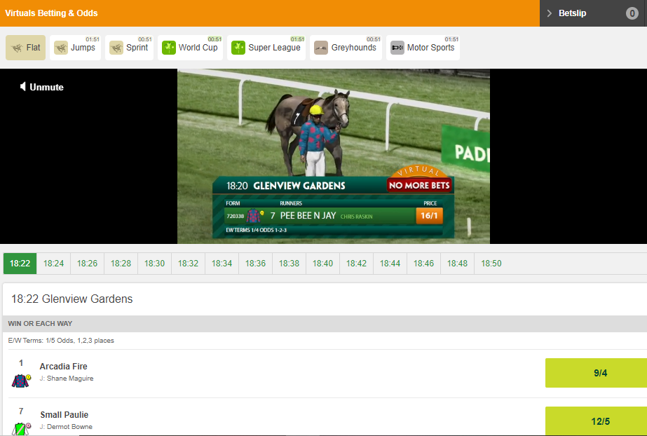 Virtual Horse Racing at Paddy Power