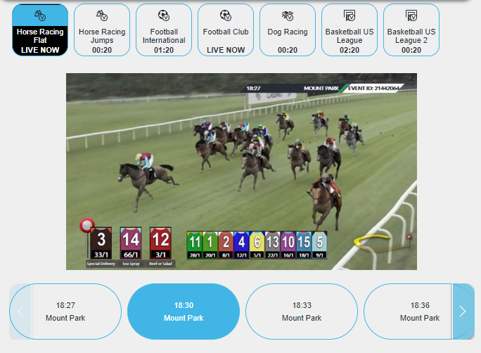 Virtual Horse Racing at BetVictor